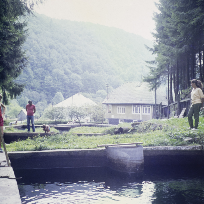 minerva_dn_1987_2904_I.A.S_satul_horea_009