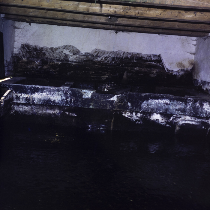 minerva_dn_1987_2904_I.A.S_satul_horea_012