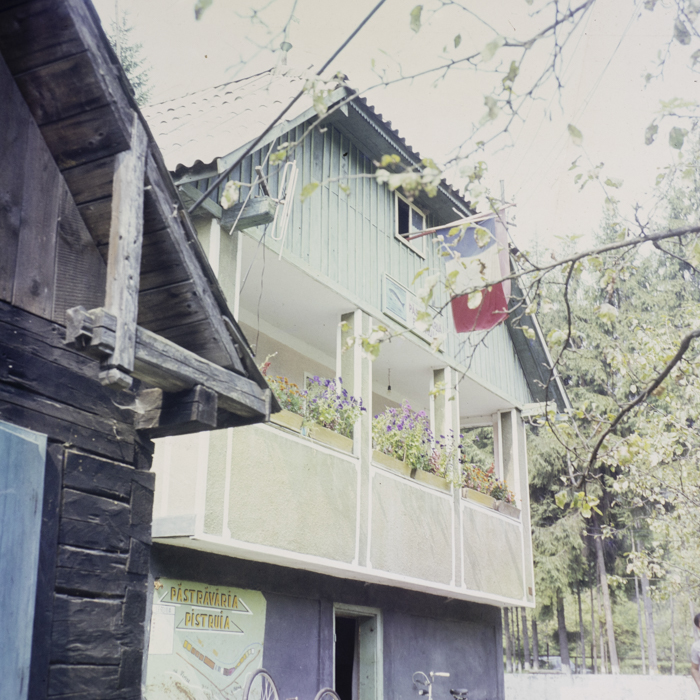 minerva_dn_1987_2904_I.A.S_satul_horea_014