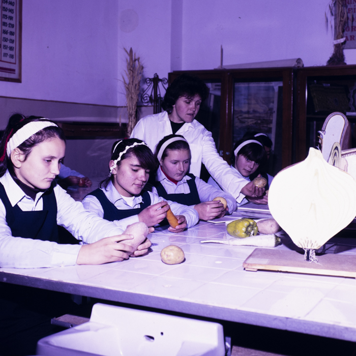 minerva_dn_1987_2906_cap_salard_bihor_004