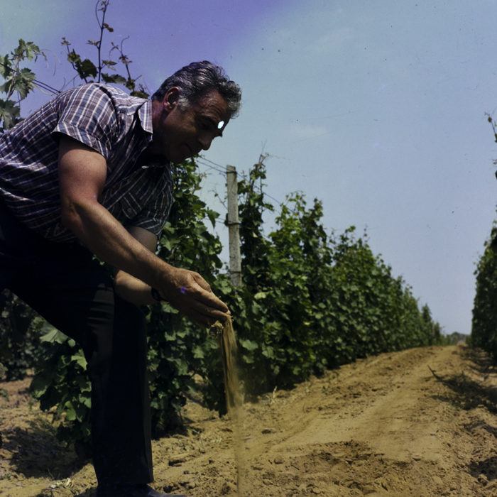 minerva_dn_1987_2923_valea_lui_mihai_jud.bihor_001