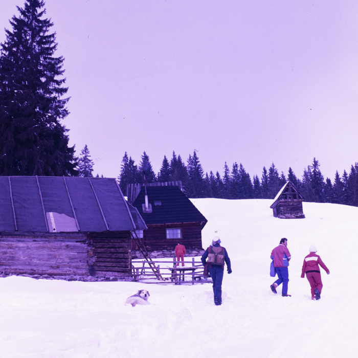 minerva_dn_1988_2910_aspecte_iarna_munti_006