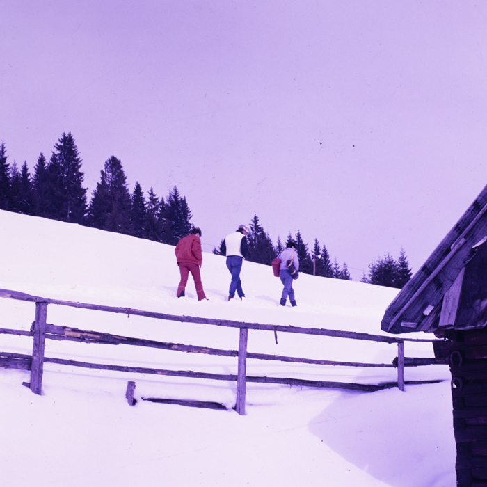 minerva_dn_1988_2910_aspecte_iarna_munti_008