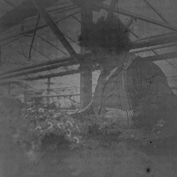 minerva_dn_1988_2920_targu_secuiesc_010