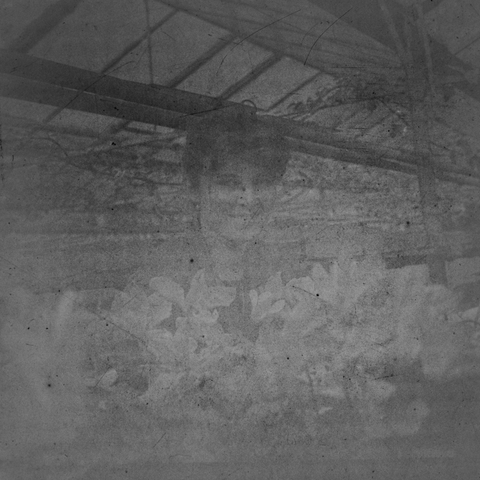 minerva_dn_1988_2920_targu_secuiesc_011