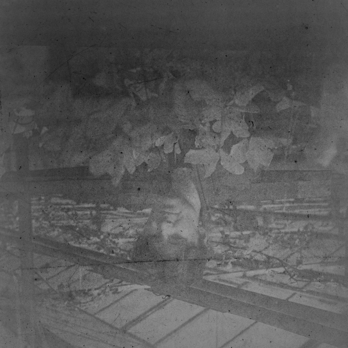 minerva_dn_1988_2920_targu_secuiesc_013