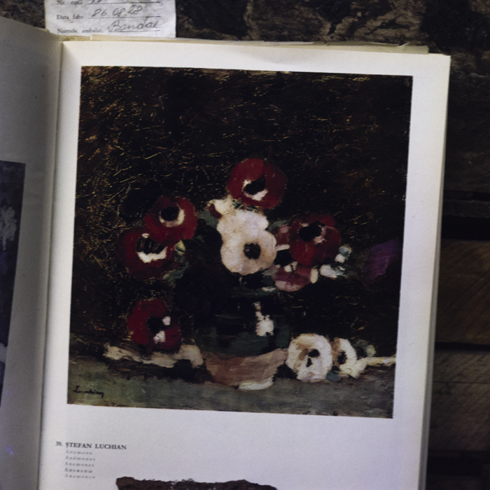 minerva_dn_1988_2925_reproduceri_002