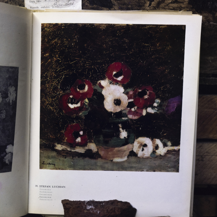 minerva_dn_1988_2925_reproduceri_005