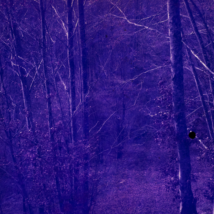 minerva_dn_1988_2926_aspecte_oras_timisoara_014