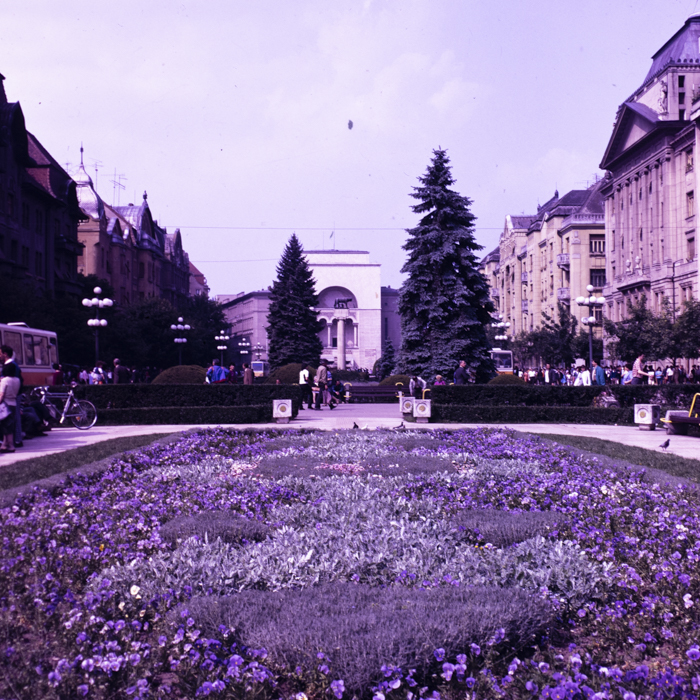 minerva_dn_1988_2926_aspecte_oras_timisoara_017