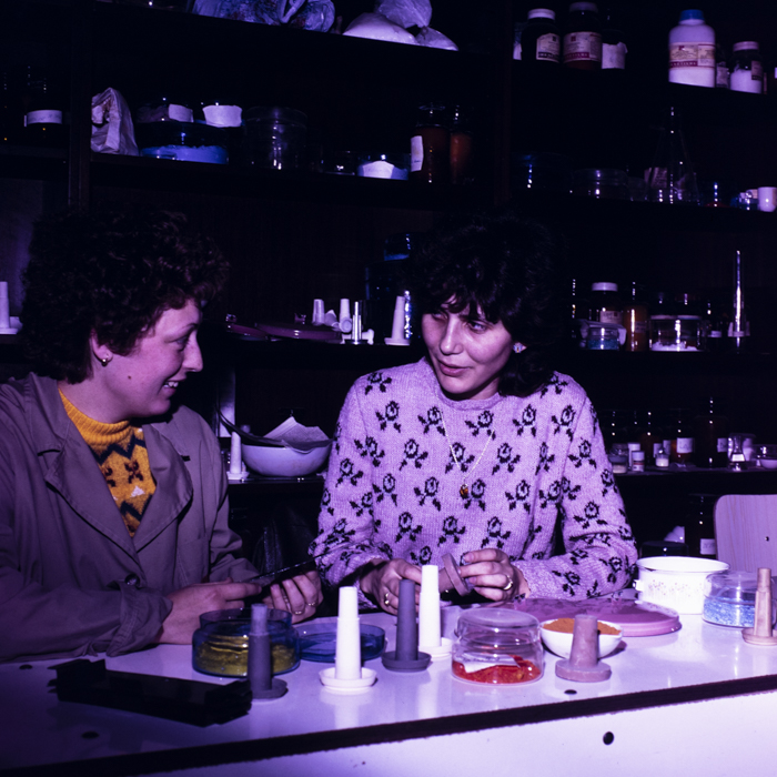 minerva_dn_1988_2926_aspecte_oras_timisoara_020