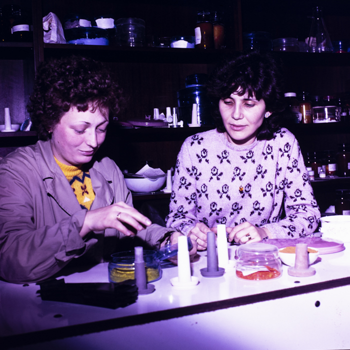 minerva_dn_1988_2926_aspecte_oras_timisoara_021