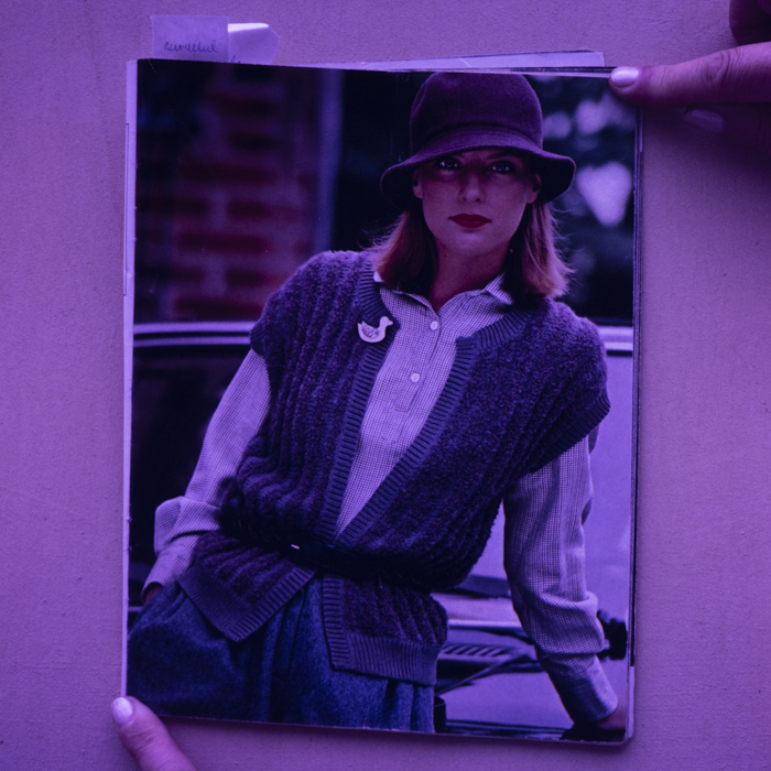 minerva_dn_1988_2932_reproduceri_006