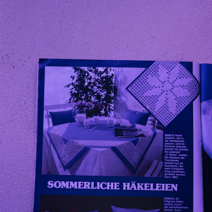 minerva_dn_1988_2932_reproduceri_007