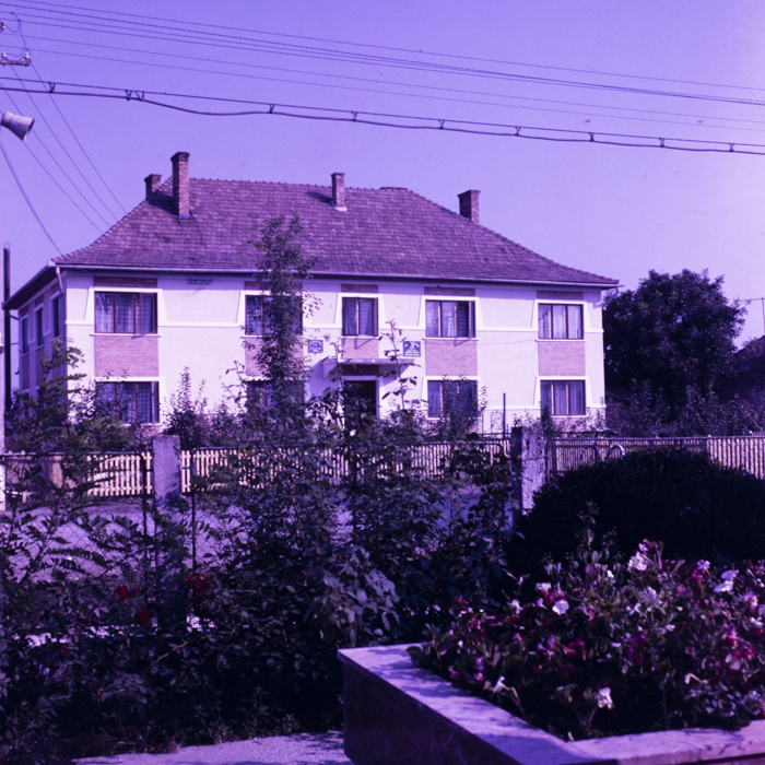 minerva_dn_1988_2938_com._bocsa_salaj_004