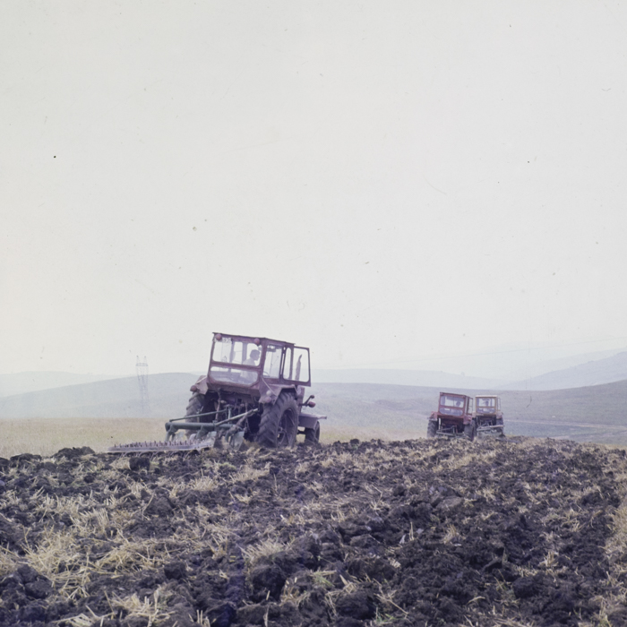 minerva_dn_1988_2938_com._bocsa_salaj_009