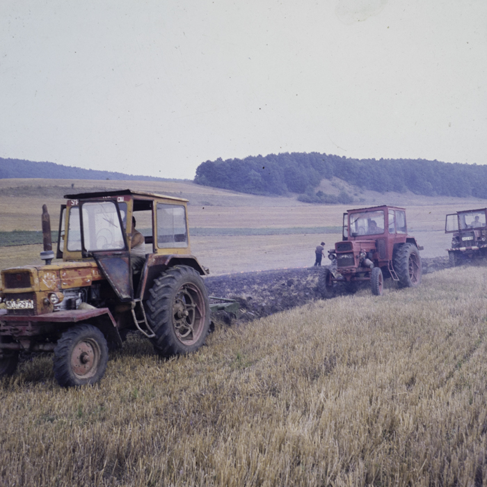 minerva_dn_1988_2938_com._bocsa_salaj_010