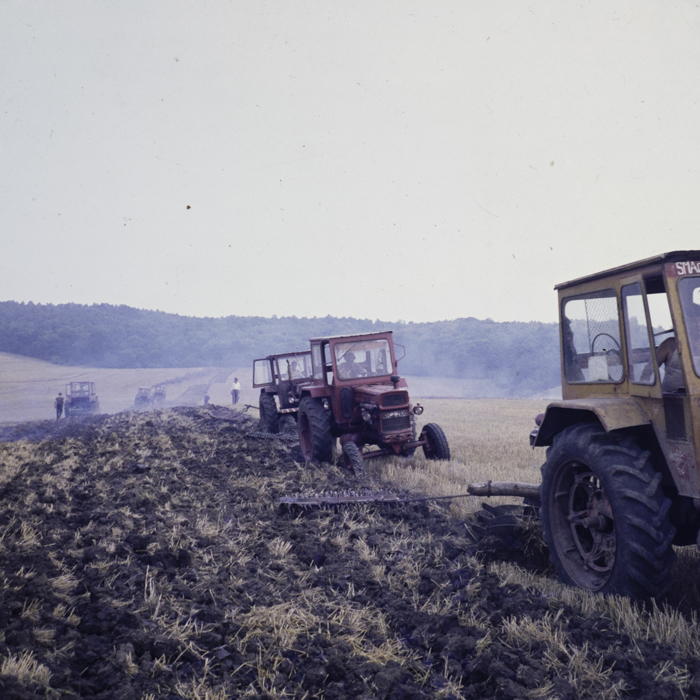 minerva_dn_1988_2938_com._bocsa_salaj_011