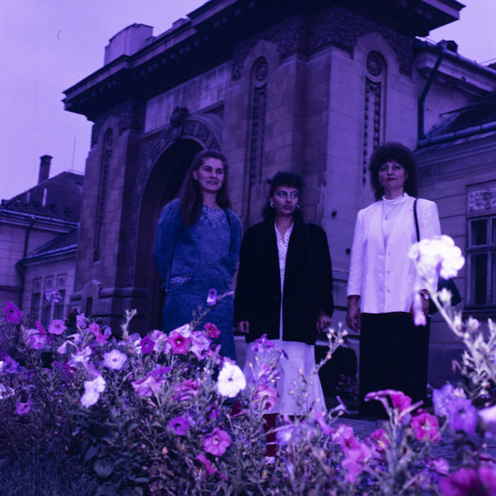 minerva_dn_1988_2940_alba_iulia_006