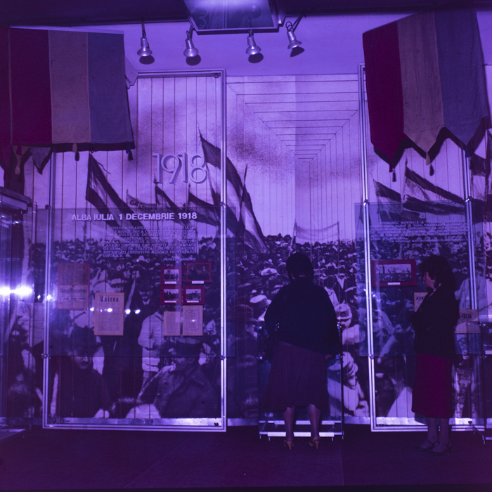 minerva_dn_1988_2940_alba_iulia_010