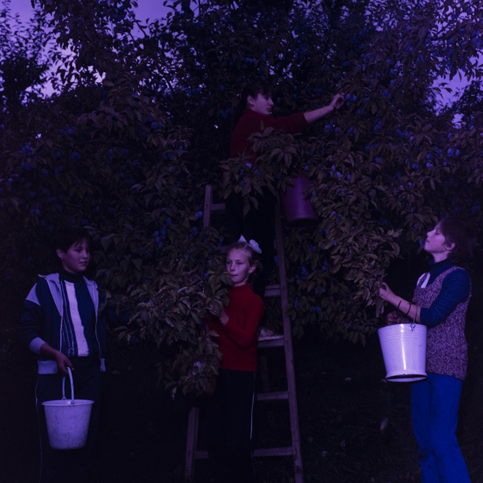 minerva_dn_1988_2942_reteag_jud._bistrita_nasaud_001