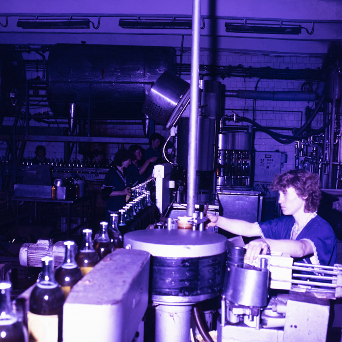 minerva_dn_1988_2945_husi_vaslui_001