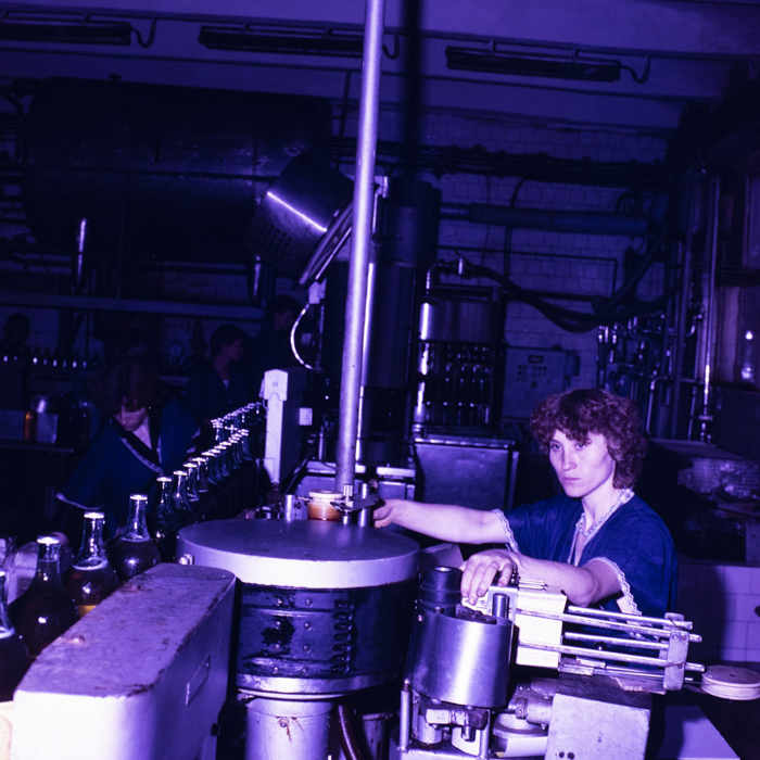 minerva_dn_1988_2945_husi_vaslui_002