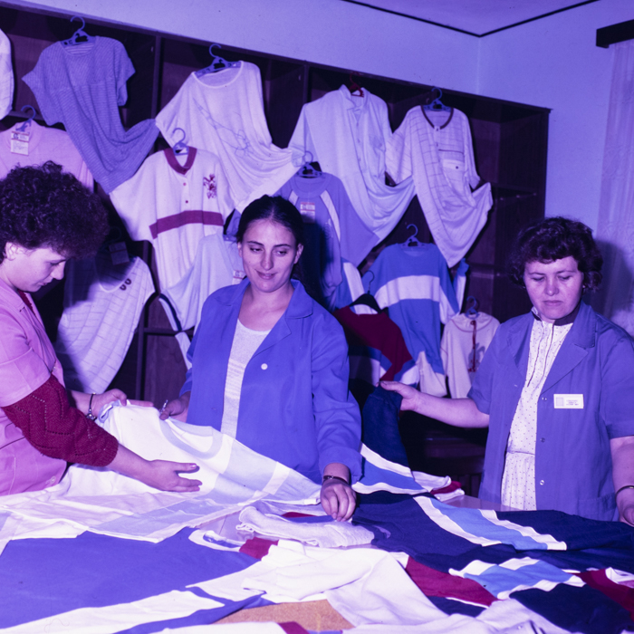 minerva_dn_1988_2945_husi_vaslui_004