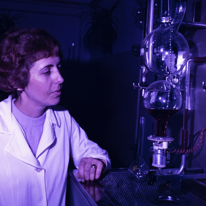 minerva_dn_1988_2945_husi_vaslui_006