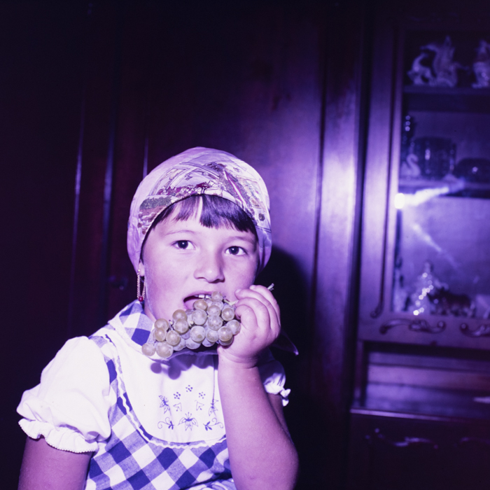 minerva_dn_1988_2945_husi_vaslui_007