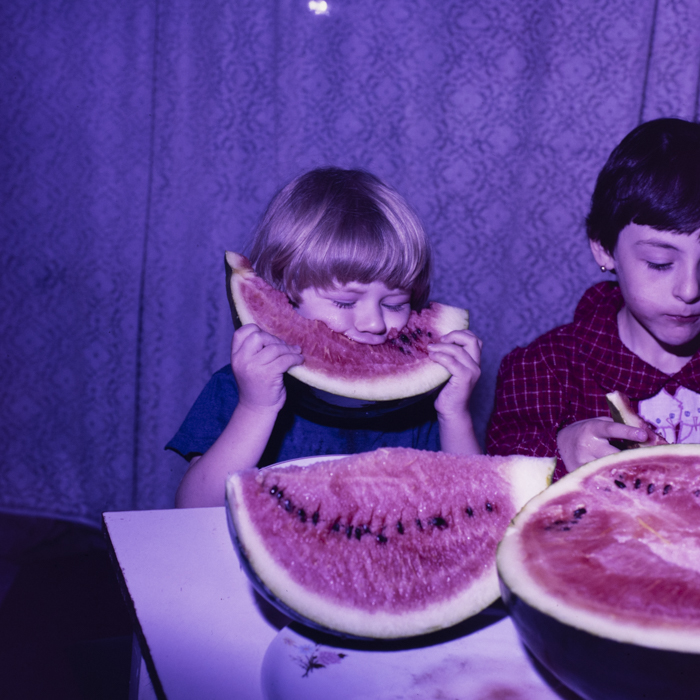 minerva_dn_1988_2945_husi_vaslui_008