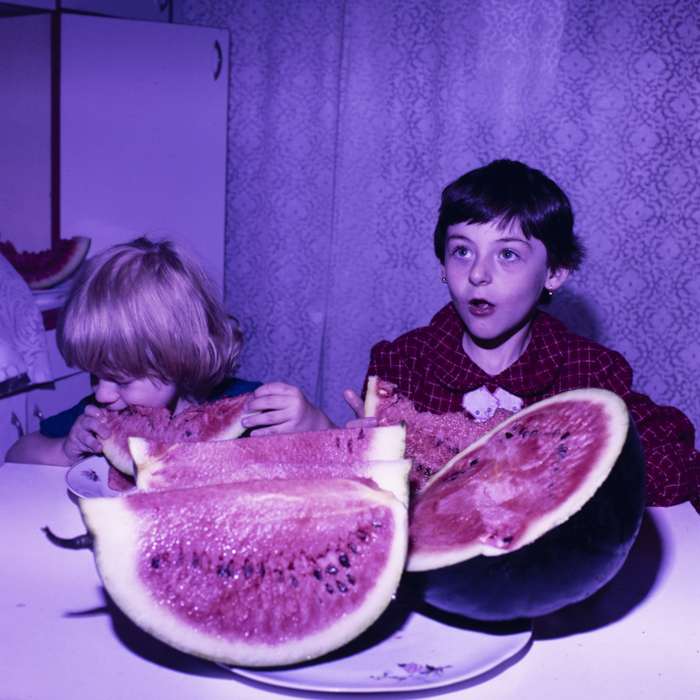 minerva_dn_1988_2945_husi_vaslui_009