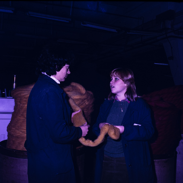 minerva_dn_1988_2954_covoare_beclean_001