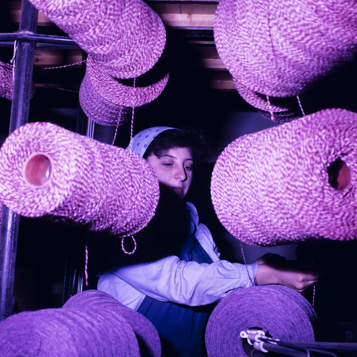 minerva_dn_1988_2954_covoare_beclean_002