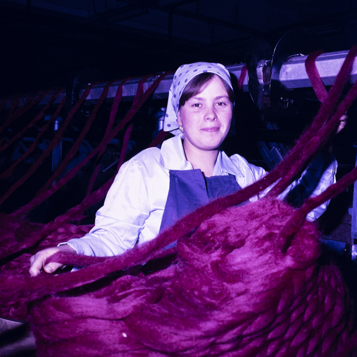 minerva_dn_1988_2954_covoare_beclean_004