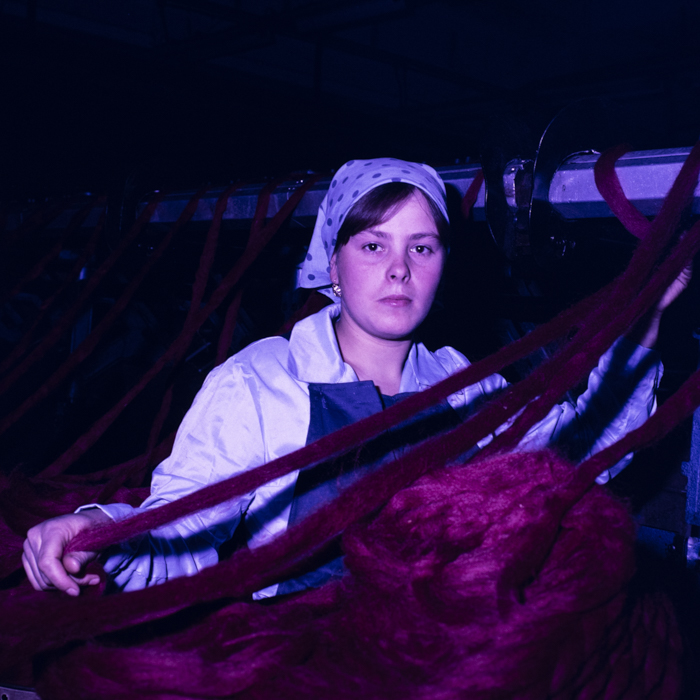 minerva_dn_1988_2954_covoare_beclean_005