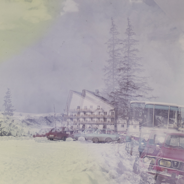 minerva_dn_1988_2960_pom_de_iarna_baisoara_001