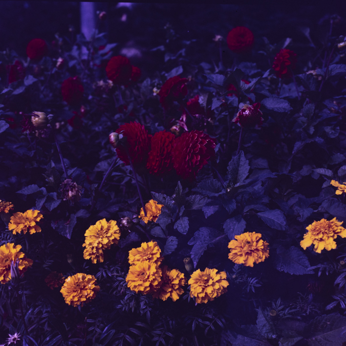 minerva_dn_1988_statiunea_blaj_alba_004