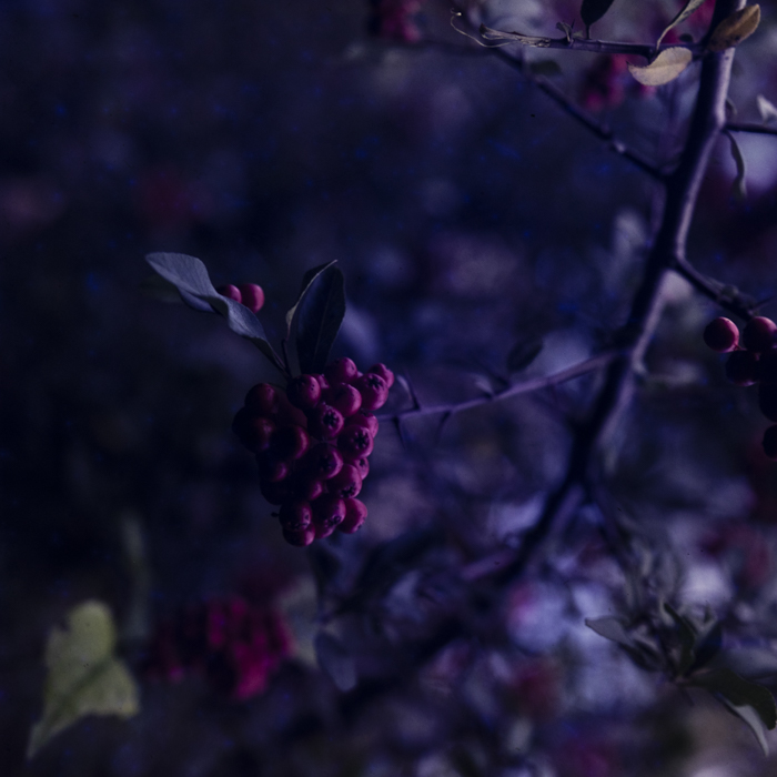 minerva_dn_1988_statiunea_blaj_alba_007