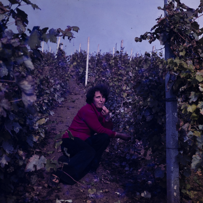 minerva_dn_1988_statiunea_blaj_alba_008