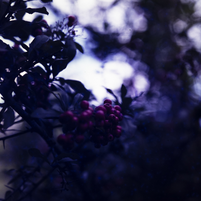 minerva_dn_1988_statiunea_blaj_alba_011