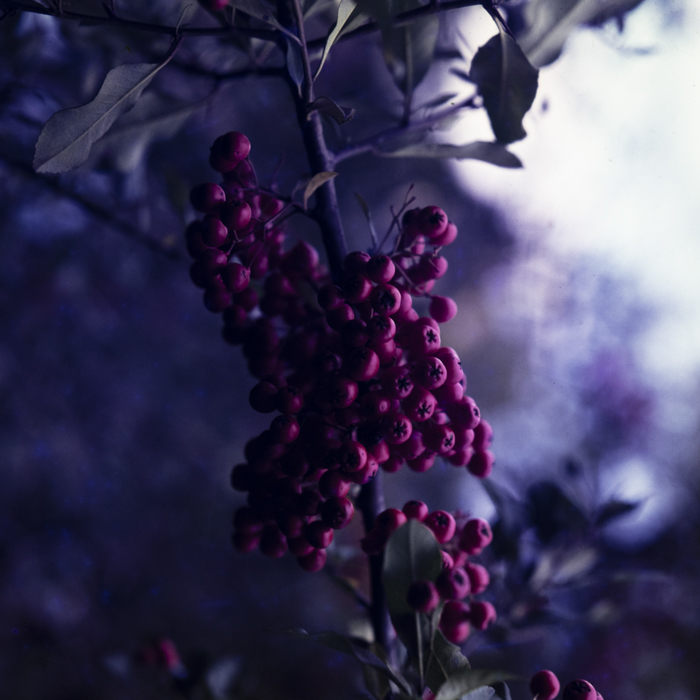 minerva_dn_1988_statiunea_blaj_alba_012