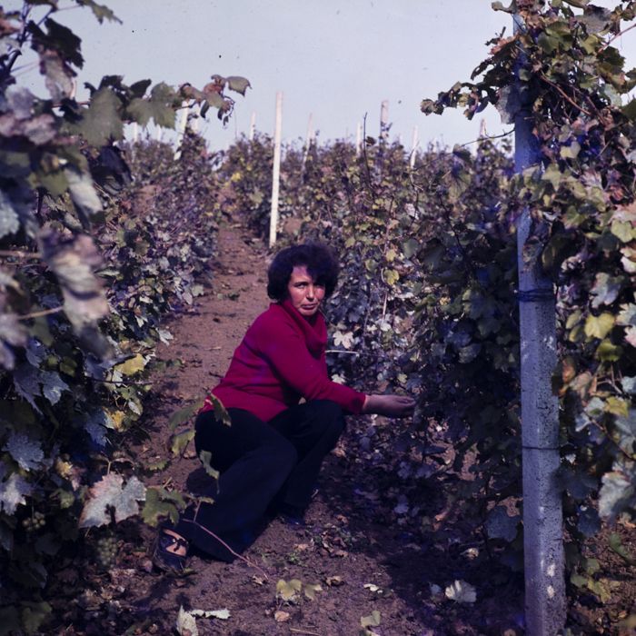 minerva_dn_1988_statiunea_blaj_alba_015