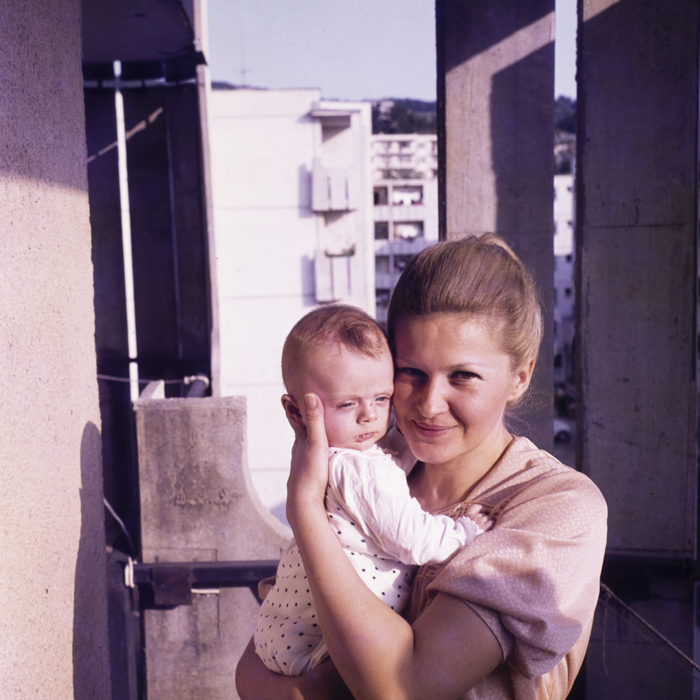 minerva_dn_1989_2962_pom_de_iarna_001