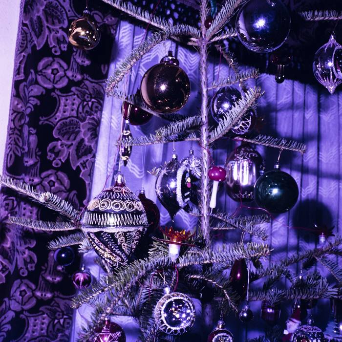 minerva_dn_1989_2962_pom_de_iarna_002