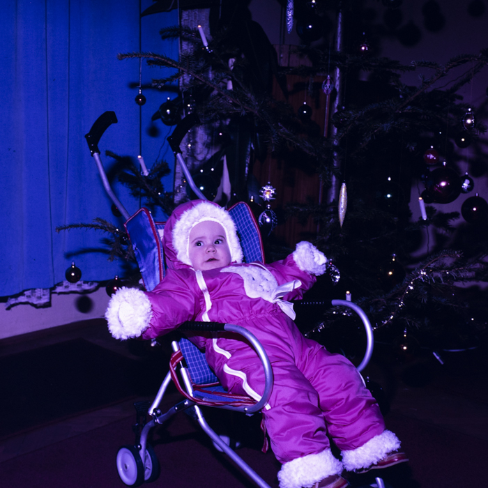 minerva_dn_1989_2962_pom_de_iarna_003