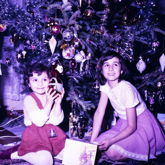 minerva_dn_1989_2962_pom_de_iarna_004