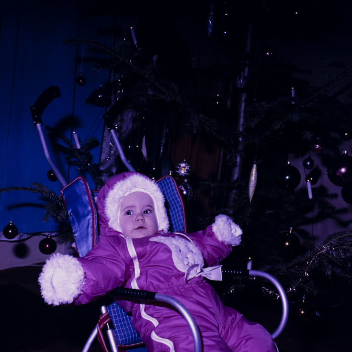 minerva_dn_1989_2962_pom_de_iarna_006