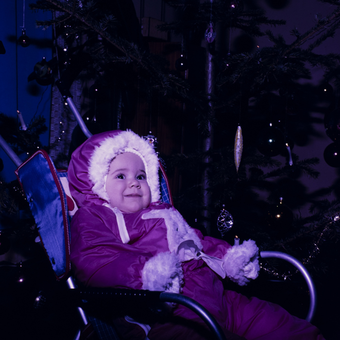 minerva_dn_1989_2962_pom_de_iarna_007