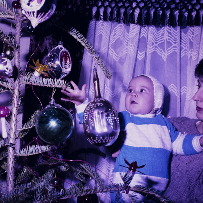 minerva_dn_1989_2962_pom_de_iarna_008